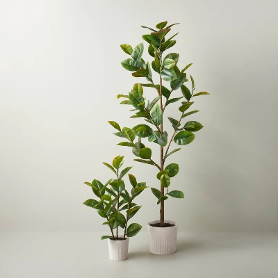 73" Faux Rubber Leaf Tree - Hearth & Handâ„¢ With Magnolia - Image 3