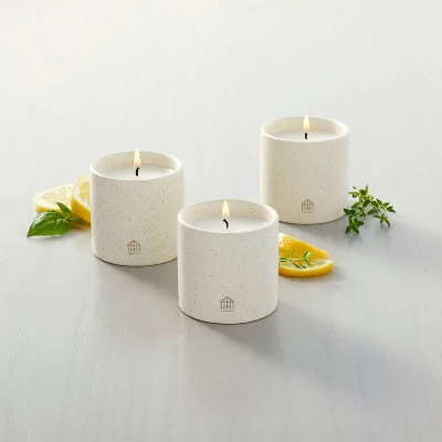 9oz Basil/Lemon/Thyme Speckled Ceramic Kitchen Candle Set - Hearth & Handâ„¢ With Magnolia